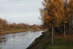 zubcov23