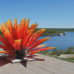 P1070267.MP4_snapshot_00.03.999